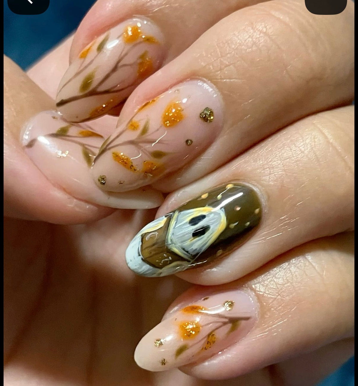 Bookish Nail Preorder 📚