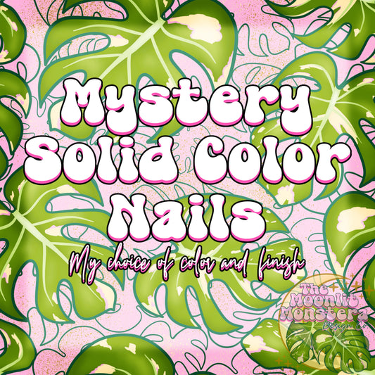 Mystery Solid Color Nail Set